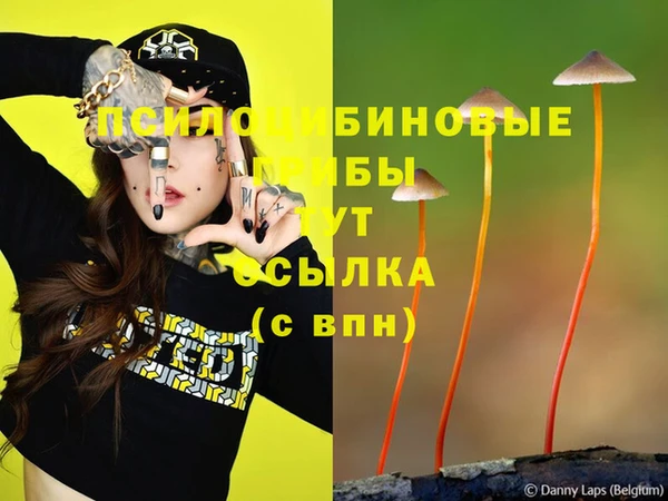 твердый Белокуриха