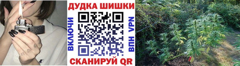 Конопля гибрид Курганинск